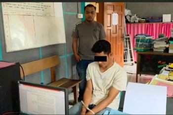 Polisi tangkap residivis narkoba kasus pencurian 900 Kilogram karet di Pasaman