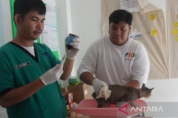 Cegah rabies, Babel buka layanan kesehatan hewan gratis