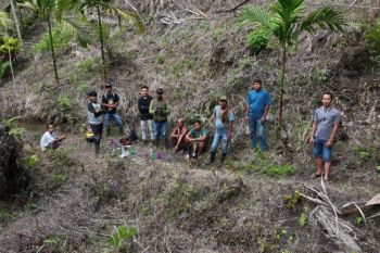 BKSDA Sumbar siapkan kandang jebak atasi Beruang Madu masuk pemukiman