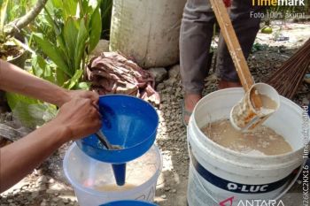 Petani muda Solok lakukan upaya menuju pertanian ramah lingkungan