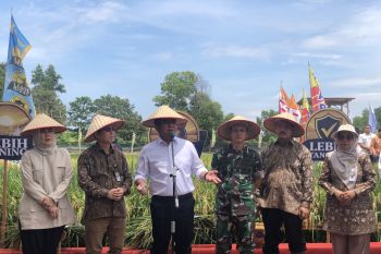 Ada apa saja Gebyar Perbenihan Tanaman Pangan Nasional di Palembang?