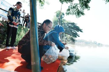 Pemkab Gowa-Kemendikdasmen tebar puluhan ribu benih ikan mas dan nila