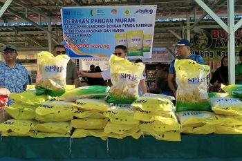 Bupati Karimun: Kelangkaan beras premium mulai teratasi