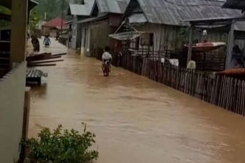 Empat dusun di Kabupaten Donggala terendam banjir