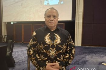 RI bisa atasi krisis Gaza dengan mendorong reformasi DK PBB