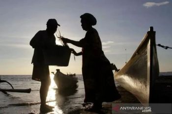 KKP memastikan program KNMP hingga swasembada garam berjalan baik