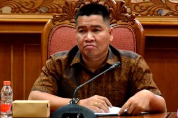 Dekopinda Kotim minta pemda kawal tuntas realisasi plasma
