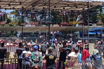 Lomba burung berkicau  di Temanggung lestarikan fauna di Indonesia