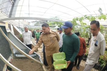 Pertanian perkotaan Bukit Baruga jadi percontohan ketahanan pangan