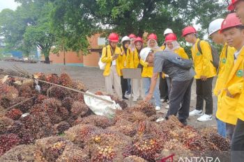 Mahasiswa Unilak Kagumi Inisiatif Energi Terbarukan Limbah Sawit PTPN IV