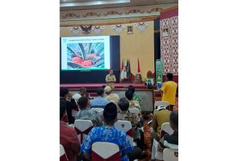 Bibit unggul Topaz siap dukung produktivitas sawit petani Musi Rawas Sumsel