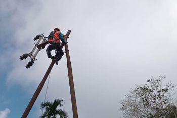 PLN : Jaringan listrik di Nagekeo sudah 100 persen pulih pascabanjir bandang