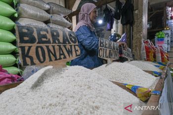 Harga beras medium turun jadi Rp13.675 per kg
