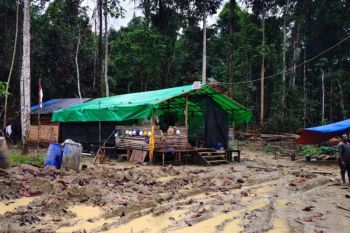 Polda Papua tangkap warga asing asal China terlibat investasi tambang ilegal