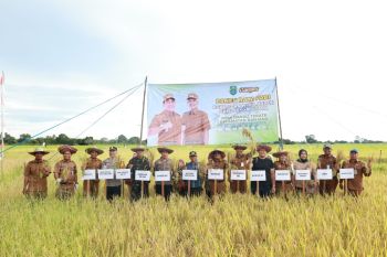 Bupati HSU Sahrujani hadiri panen raya padi di Danau Terate