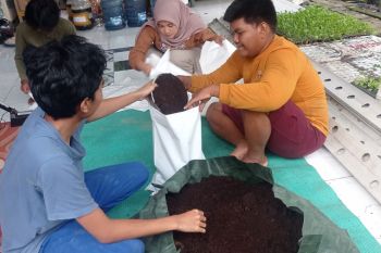 Komunitas Urban Farming di Lebak produksi pupuk kandang dan media tanam