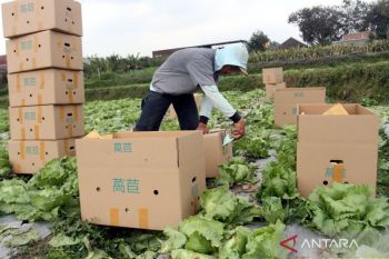 RI's agricultural exports surge 38.25 percent in early 2025: minister