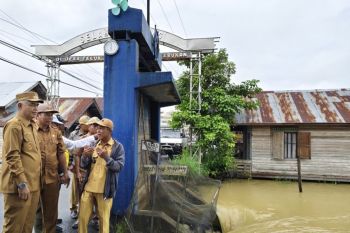 Fungsi Polder Alabio mulai berkurang