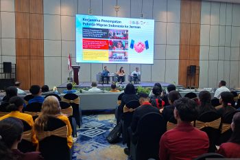 BP3MI NTT memfasilitasi 100 mahasiswa mengakses peluang karier global