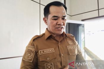 Arah pembangunan Pulang Pisau disesuaikan pengembangan potensi daerah