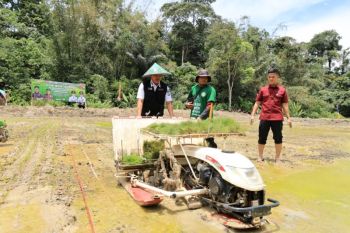 Wujudkan Asta Cita Presiden, Kajati Lampung bersama Bupati Lambar tanam padi