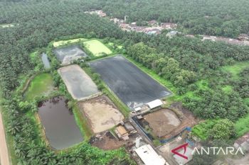DLH Kampar Pastikan Sungai Tapung Bebas dari Limbah PKS Tandun