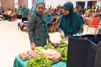 Disperpa Kota Magelang ajak warga peduli ketahanan pangan