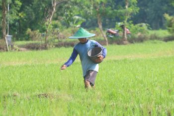 Ponorogo pastikan stok pupuk bersubsidi aman hingga akhir tahun