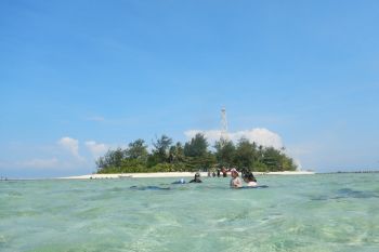 Snorkeling hingga sunset romantis, inilah daya tarik Pulau Tikus bak Maldives dari Bengkulu