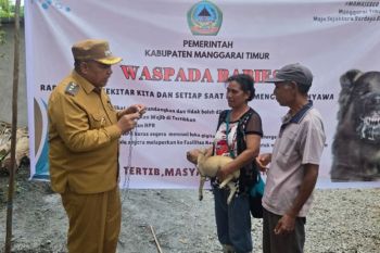 Pemkab Matim ajak seluruh pihak berkolaborasi cegah rabies