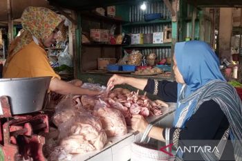 Temanggung  jamin stok telur dan daging ayam tersedia meski harga naik