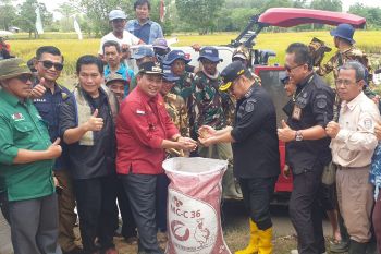 Bupati Banyuasin motivasi petani biasakan tanam padi dua kali setahun