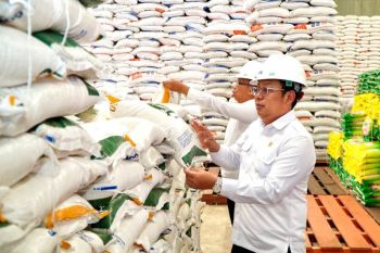 Indonesia boosts rice reserve quality to secure food supply