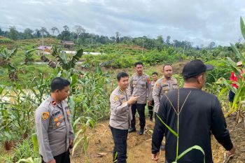 Karo SDM Polda Kaltara Pantau Ketahanan Pangan di Malinau