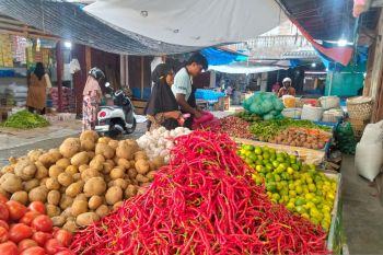 Harga cabai merah di Abdya tembus Rp90 ribu per kilogram