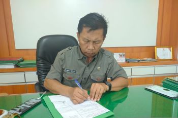 Produksi jagung di Agam capai 66.103,97 ton selama delapan bulan