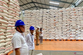 Bulog Batam mulai salurkan bantuan pangan beras pada Oktober 2025