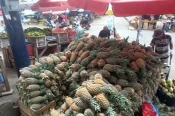 Pedagang buah Lampung sukses kembangkan usaha berkat KUR BRI