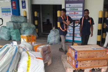 BKSDA Maluku terima translokasi satwa liar sembilan ekor biawak dan 40 kadal panana