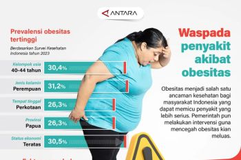 Hati-hati penyakit akibat obesitas