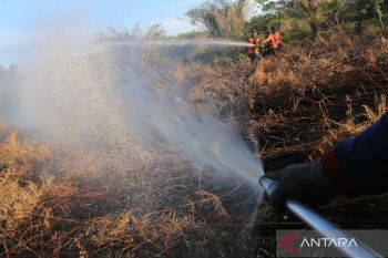 Indonesia reports sharp drop in forest, land fires in 2025
