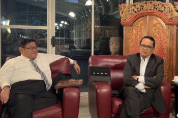 UN Assembly pushes for global recognition of Palestine: Indonesia