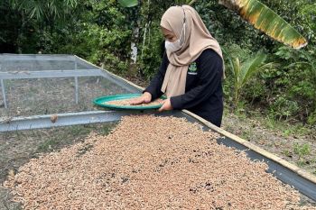 Pertamina FT Tarakan Berhasil Mengembangkan Program Silvolestari