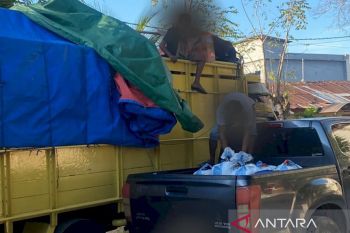 Pengedar minuman keras lokal di Kupang terancam hukuman 15 tahun penjara