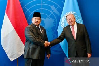 Quest for Peace: Indonesia will never fall silent for Palestine