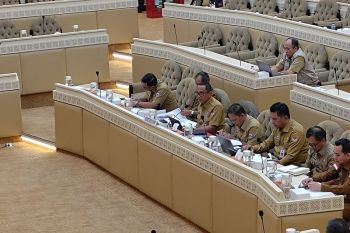 Indonesia, Timor-Leste working to resolve border issues: Ministry