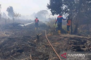Indonesia reports sharp drop in forest, land fires in 2025