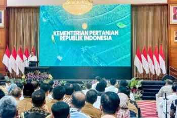 Solok Selatan siap dukung swasembada pangan Nasional