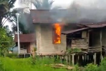Kaops: KKB bakar rumah dan tembak warga di Asmat Papua Pegunungan