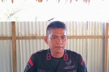 Polda Maluku amankan 17 anggota brimob usai kasus pengeroyokan warga